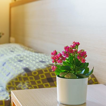 Alianthos Beach Hotel Плакіас Екстер'єр фото