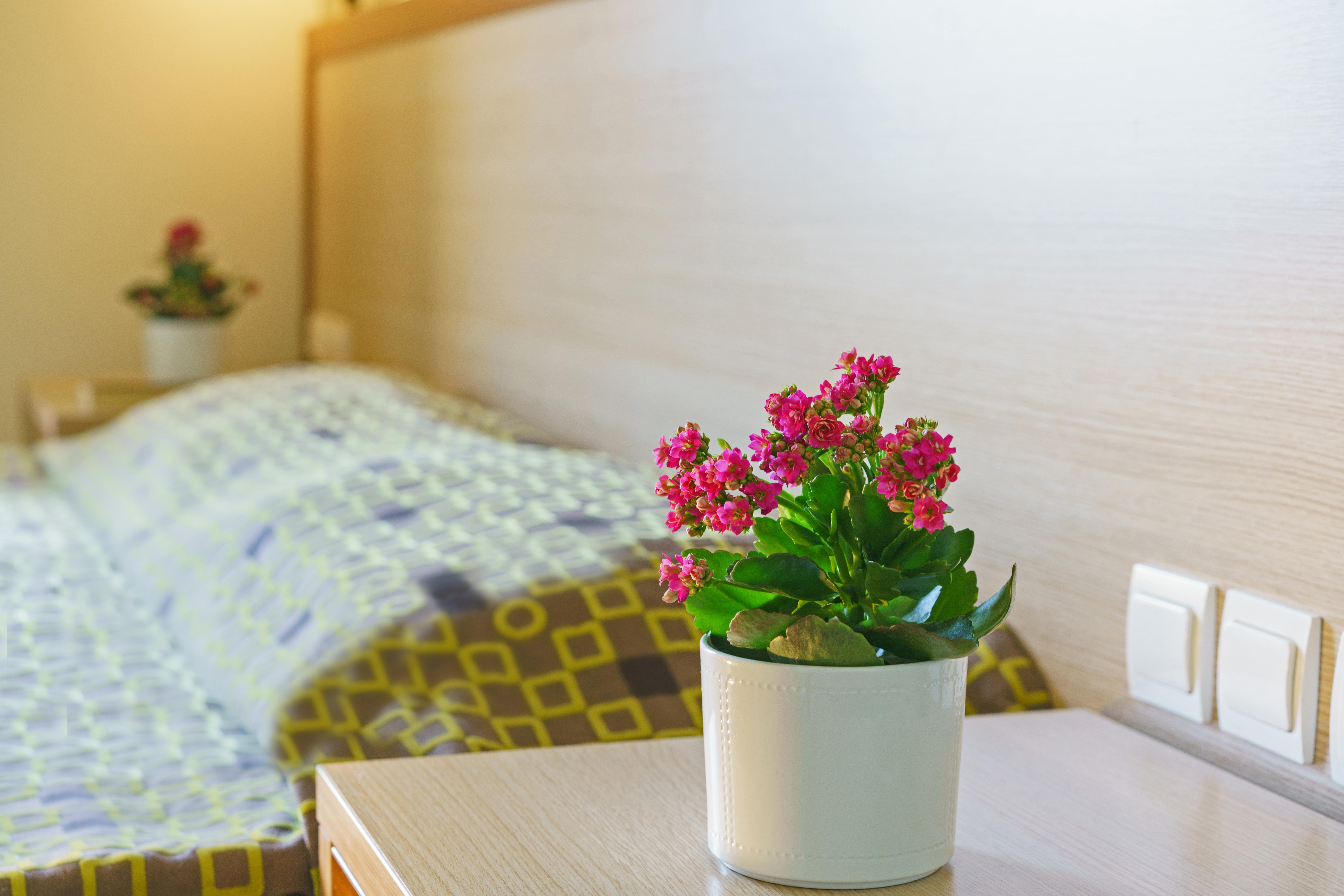 Alianthos Beach Hotel Плакіас Екстер'єр фото
